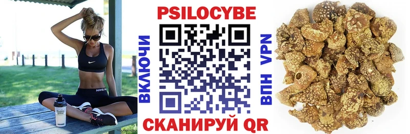 Галлюциногенные грибы Cubensis Купить где Инсар